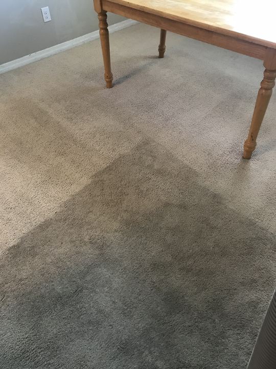 Dining room carpet with a dark uncleaned section next to a bright cleaned section