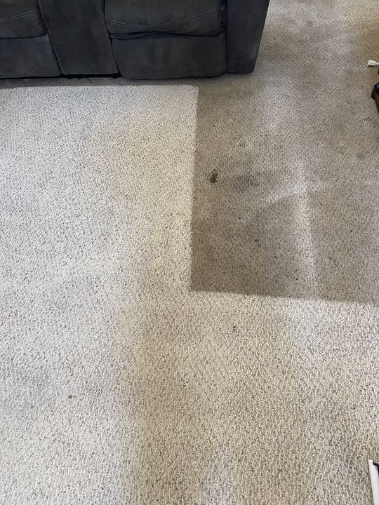 Living room carpet half cleaned, showing the difference between dirty and clean carpet